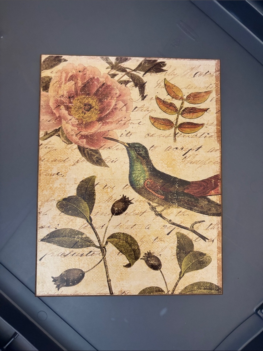 Vintage Hummingbird Floral Wall Art - Multicolor